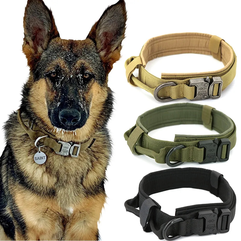 Premium Dog Collar