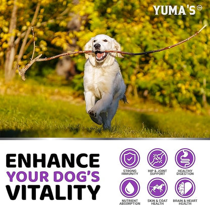 DOG MULTIVITAMIN + IMMUNITY SUPPORT