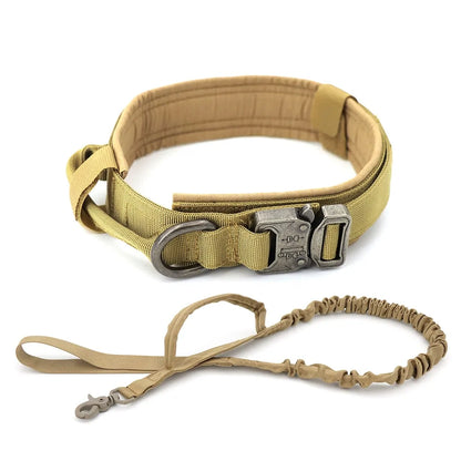 Premium Dog Collar