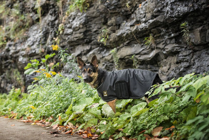 Premium Army Dog Jacket