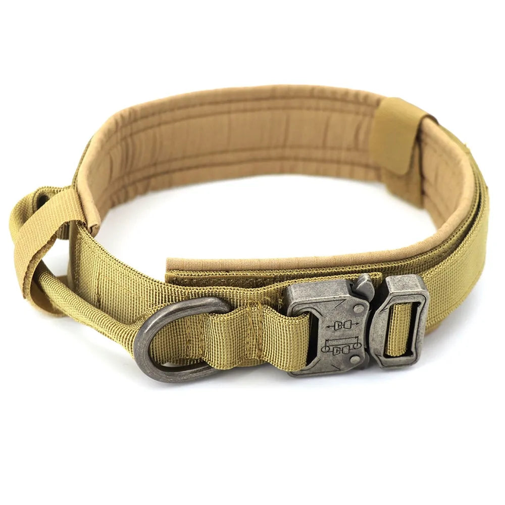 Premium Dog Collar