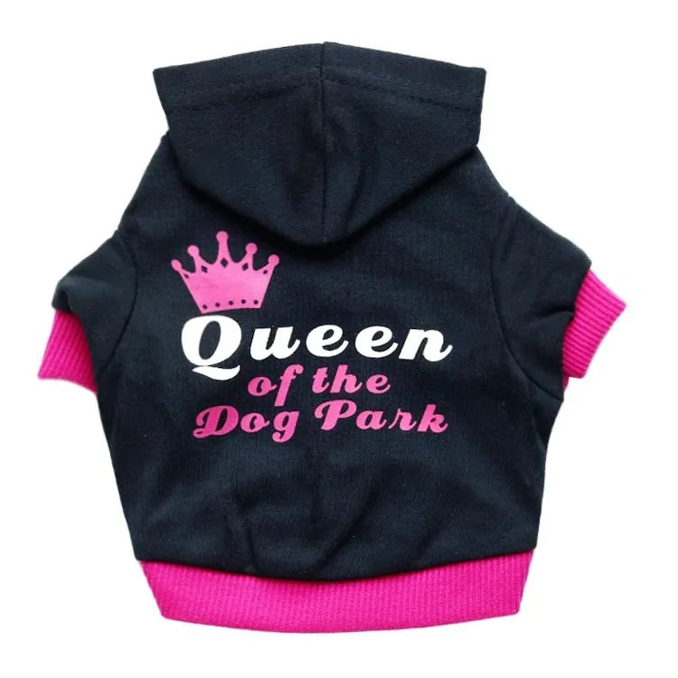 Stylish dog clothes