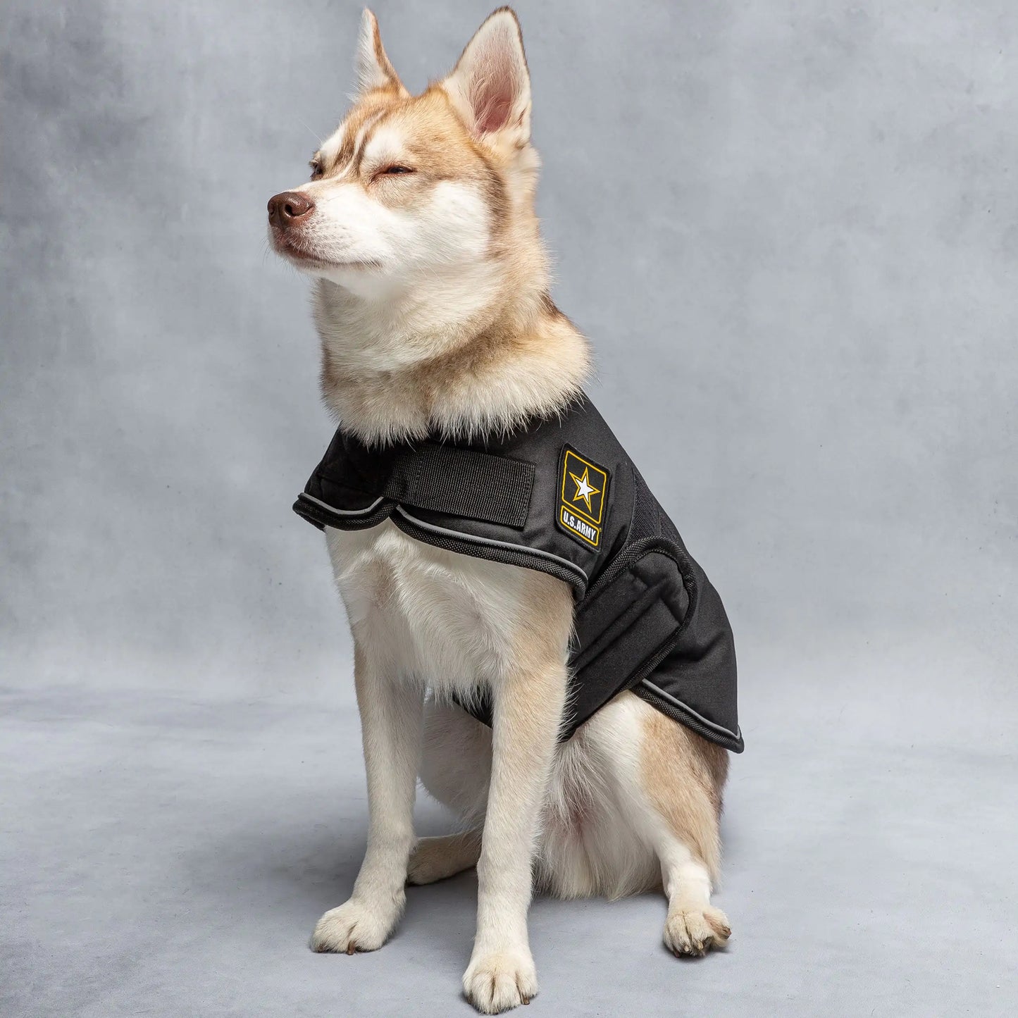 Premium Army Dog Jacket